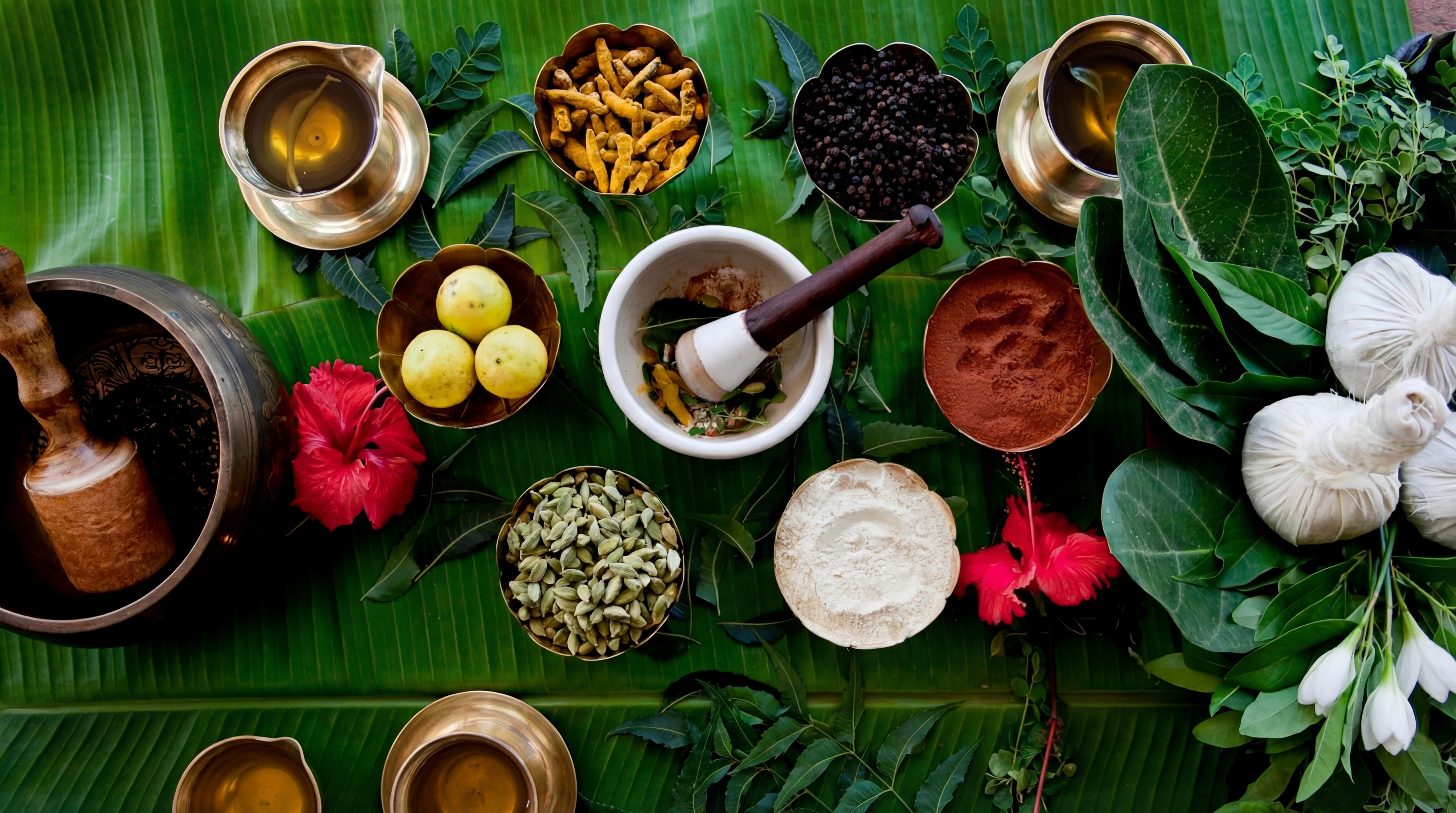Authentic Ayurveda Herbs and Spices