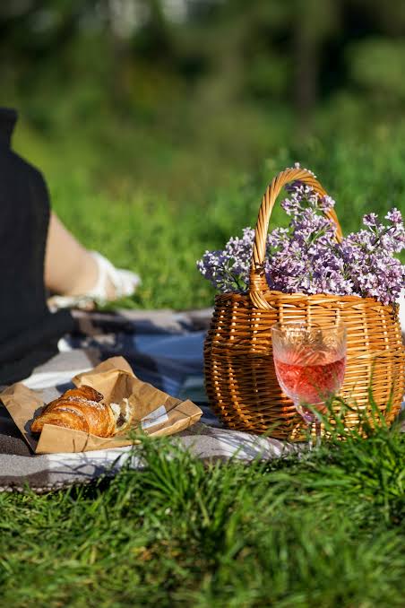 Picnics