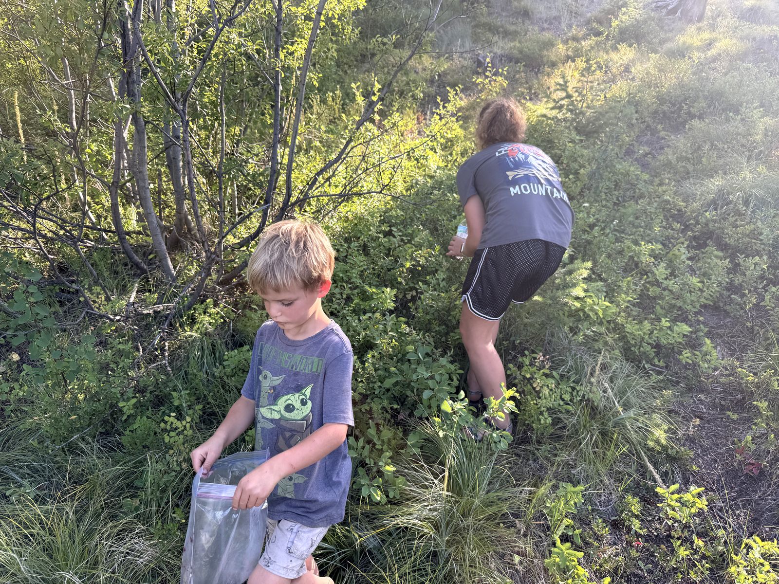 Picking berries on a hillside trail near Seeley Lake, Montana