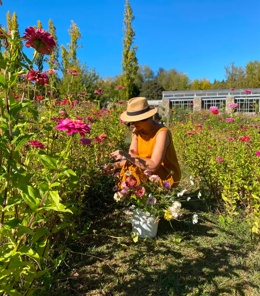 Irina Khatsernova recolectando flores en campo bajo el sol, escena natural que celebra el cultivo y la conexión con la tierra.
