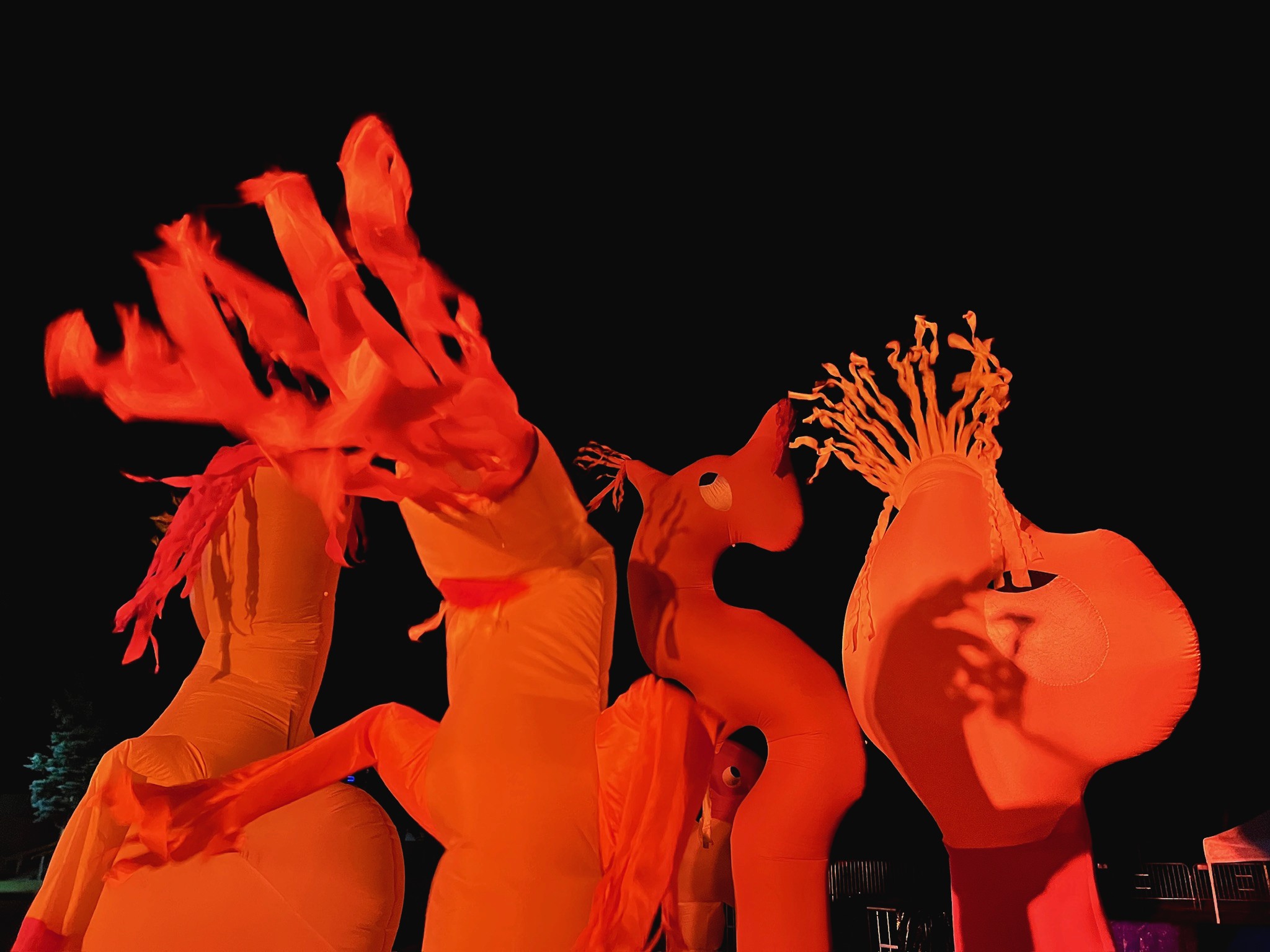 Colorful illuminated sculptures in a dark outdoor setting, creating a vibrant nighttime atmosphere.