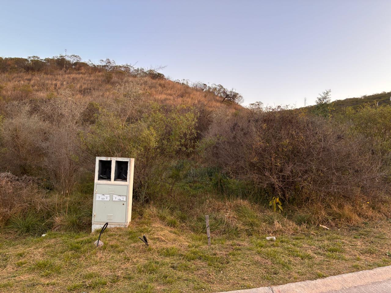 Gallery image 1