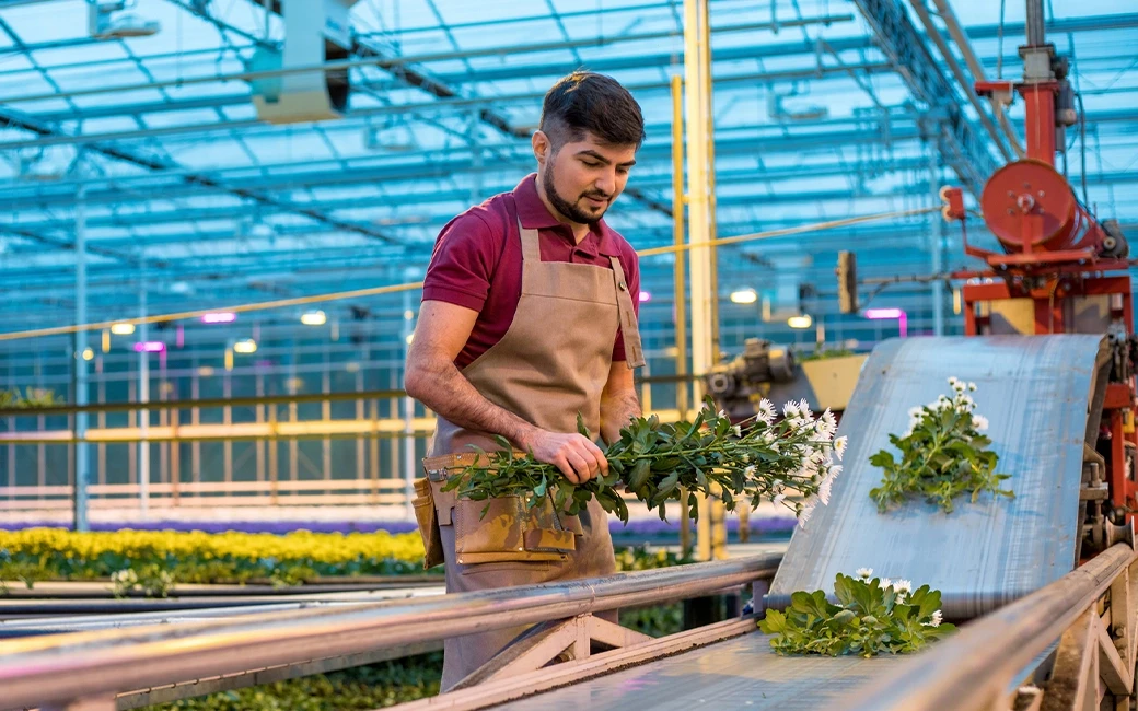 Werknemer die bloemen op de lopende band legt