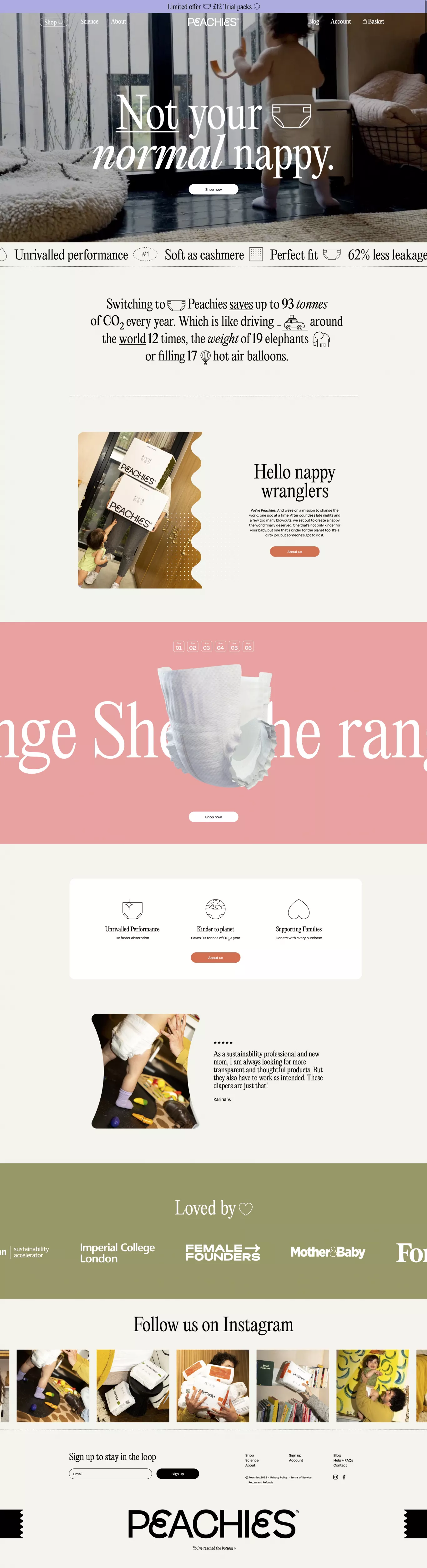 Not your normal nappy ecommerce page screenshot showcasing Nature and Ecommerce design
