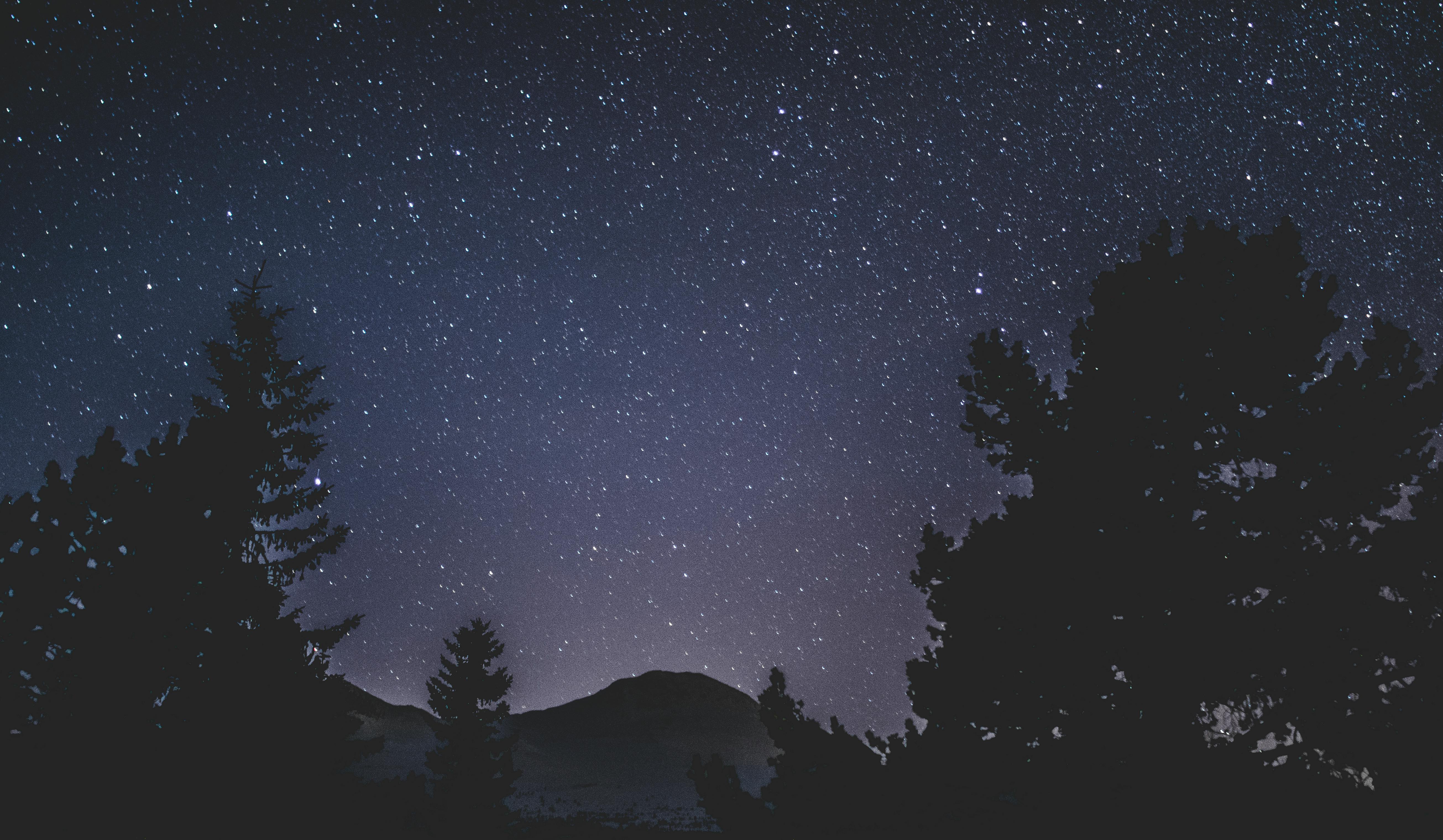 beautiful-clear-night-sky-with-countless-stars-above-silhouetted-trees-and-mount - sindre-fs (pexels)