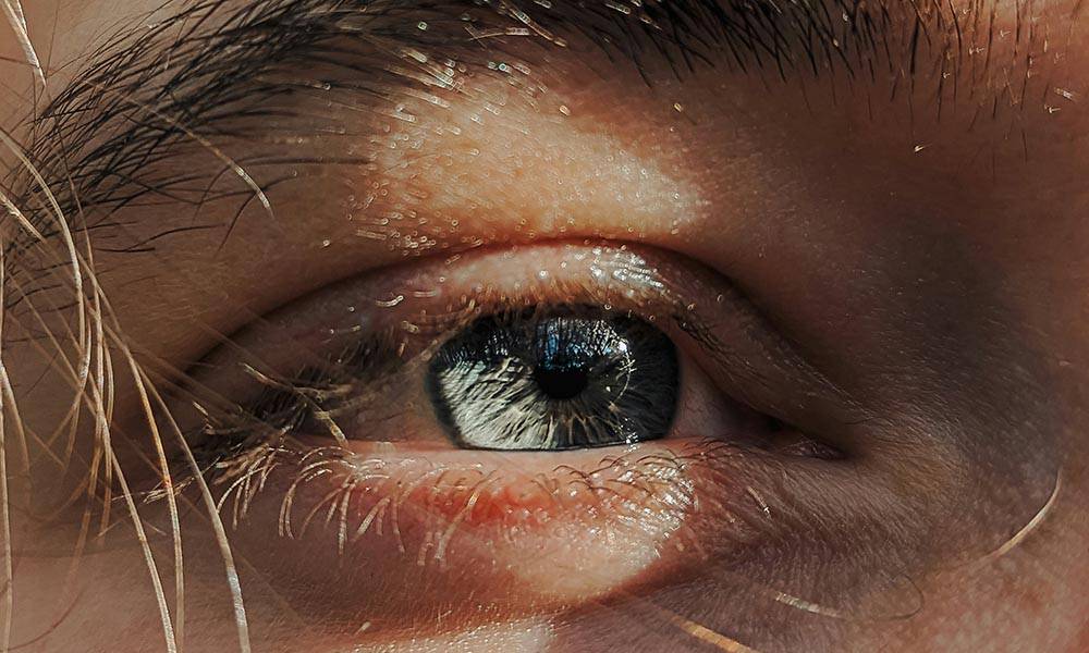 Close-up of a dark green leaf showing its textured surface and central vein against a muted background.