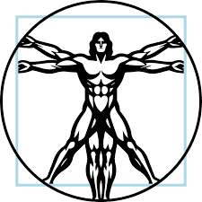 Your best fitness Club in Laufental