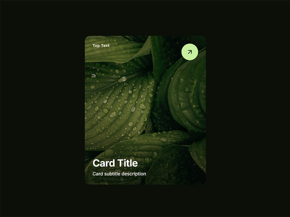 Capture d'écran du component Framer Orbit Carousel