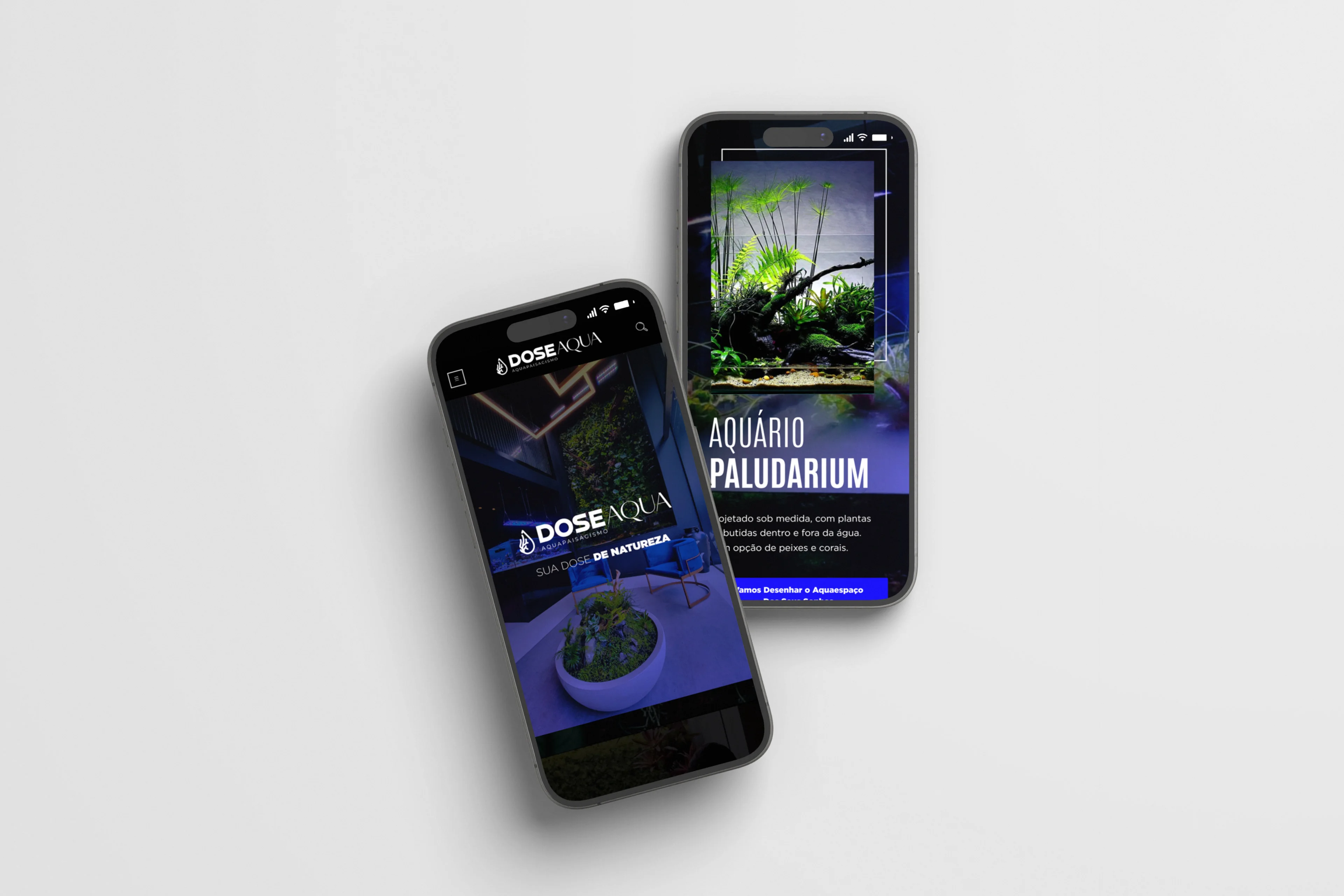 Large Project Gallery Image #4