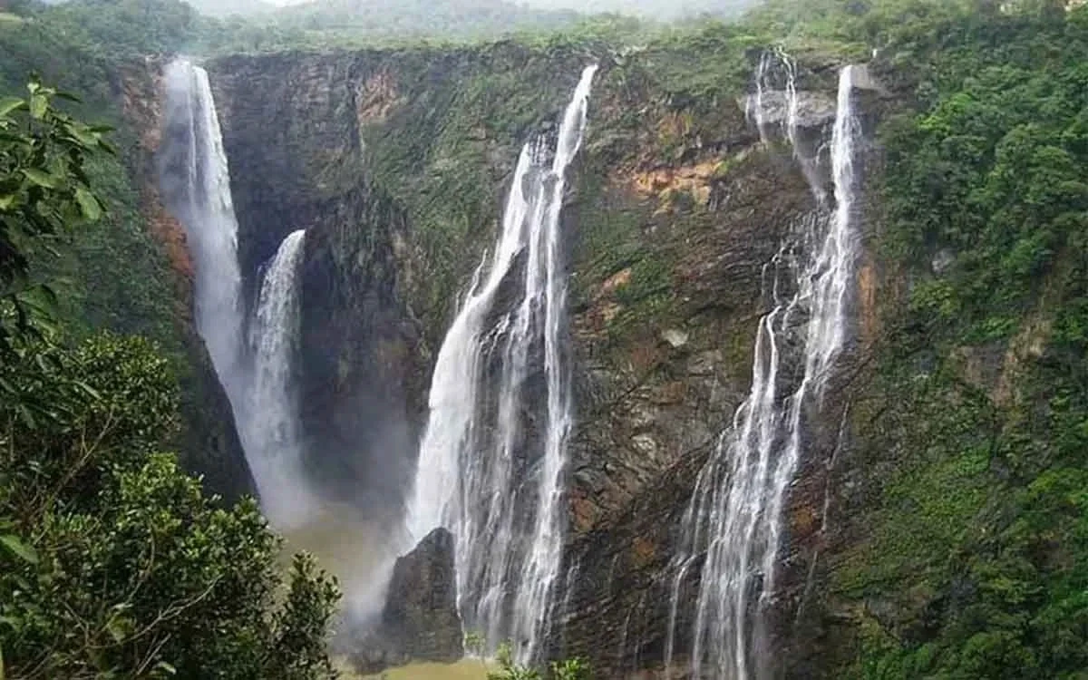 Multi-tiered forest waterfall