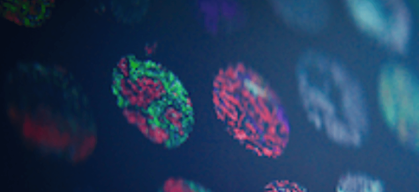 TechBio – Linearis Portfolio Company