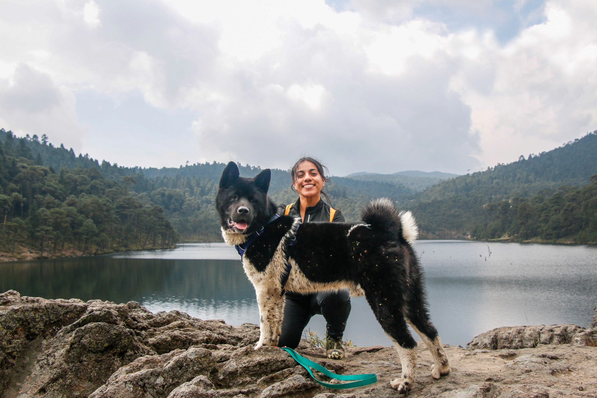 The image featured at the top of the about us page #1