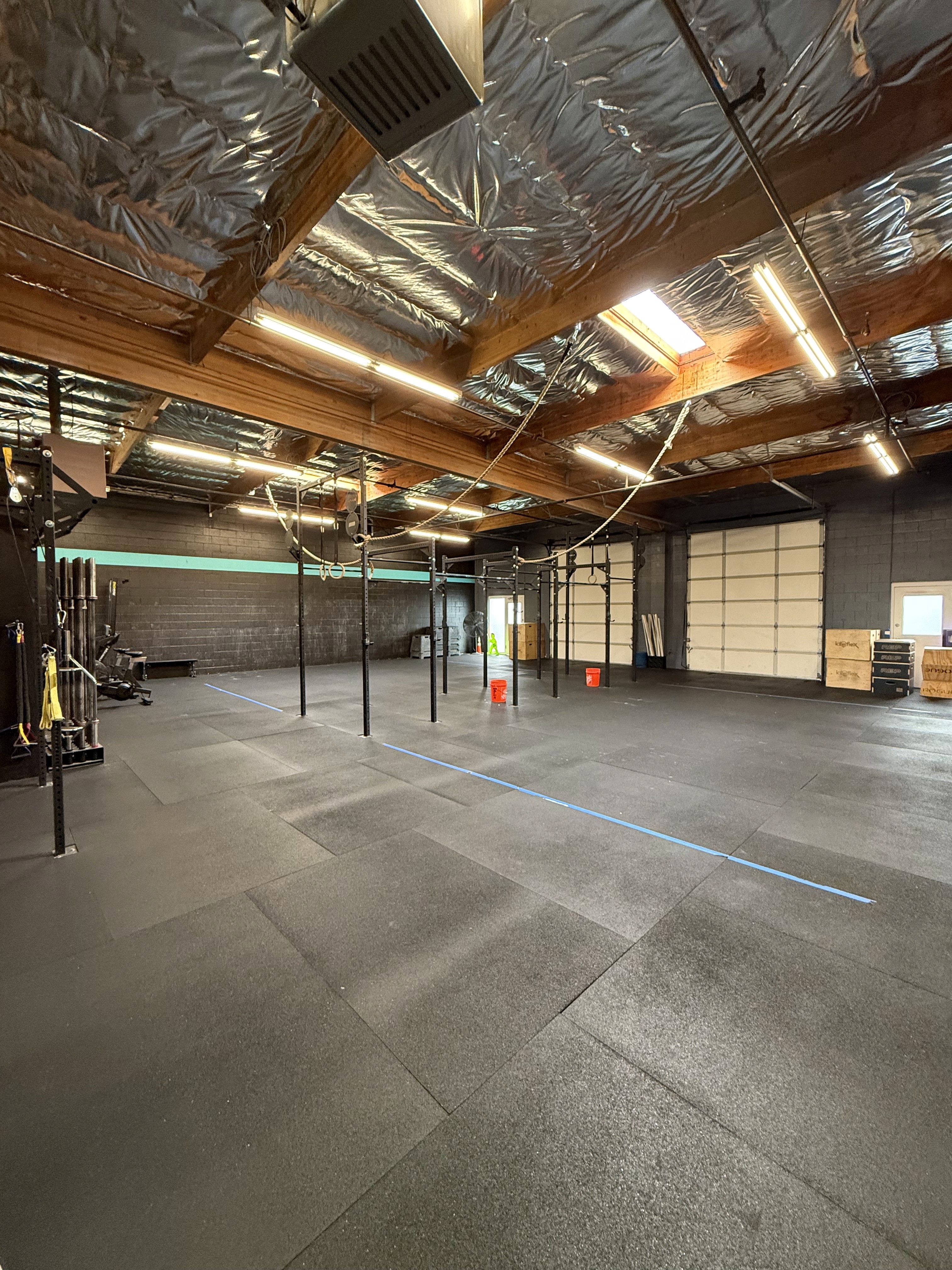 Shot of Pain & Performance Coach Gym