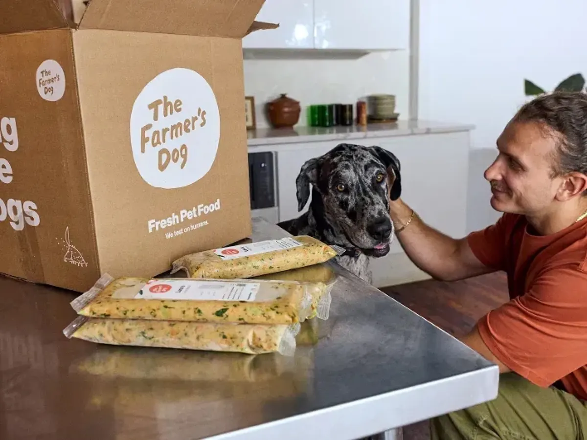 Owner and dog in the kitchen with a delivery box and fresh food packs