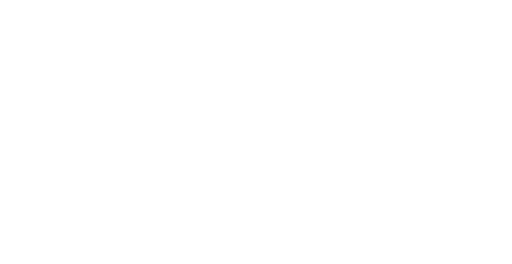 Logo Salfa