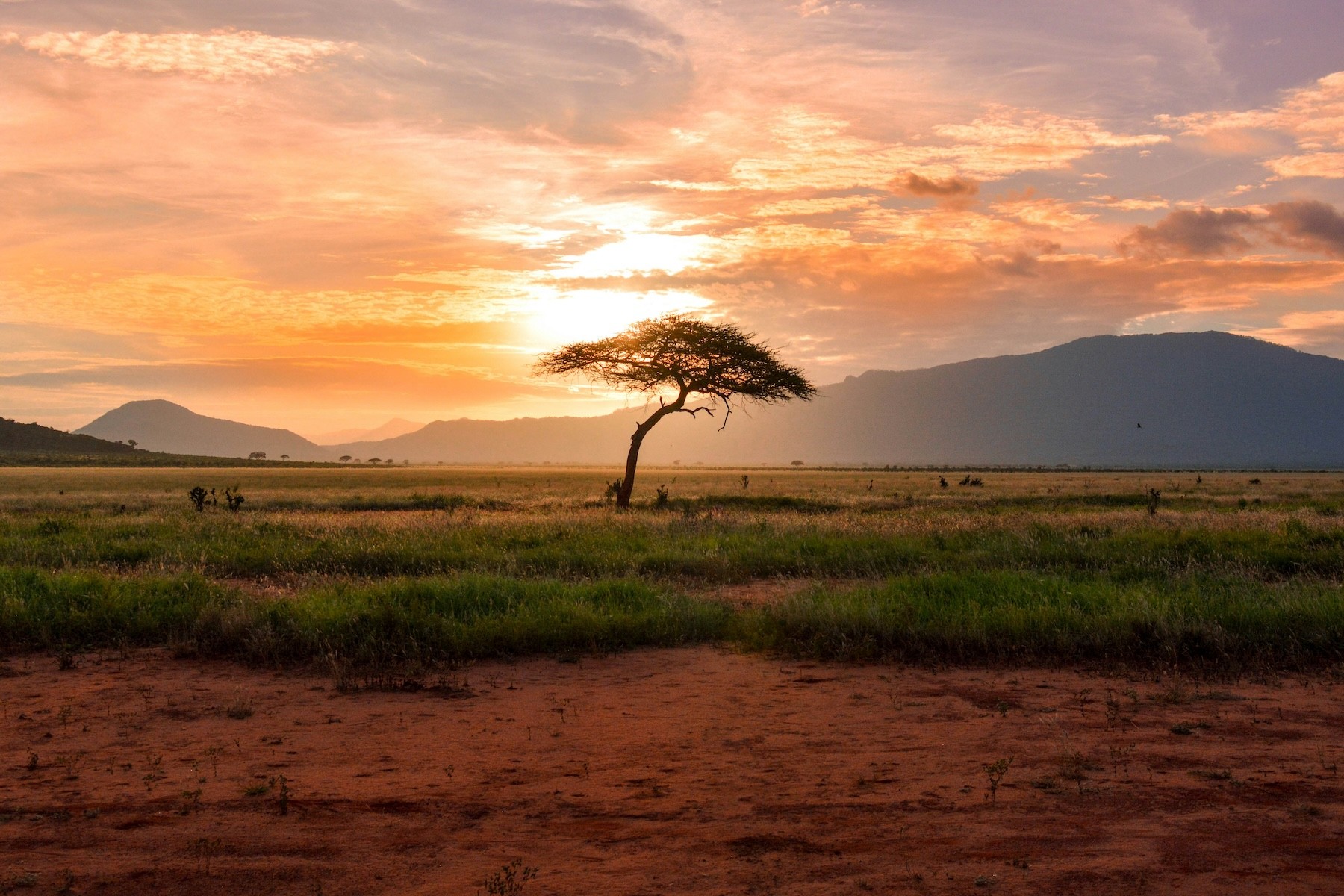 Travelling alone in African Safari