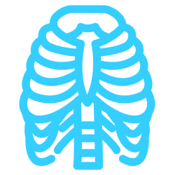 Reumatologia Ferrara