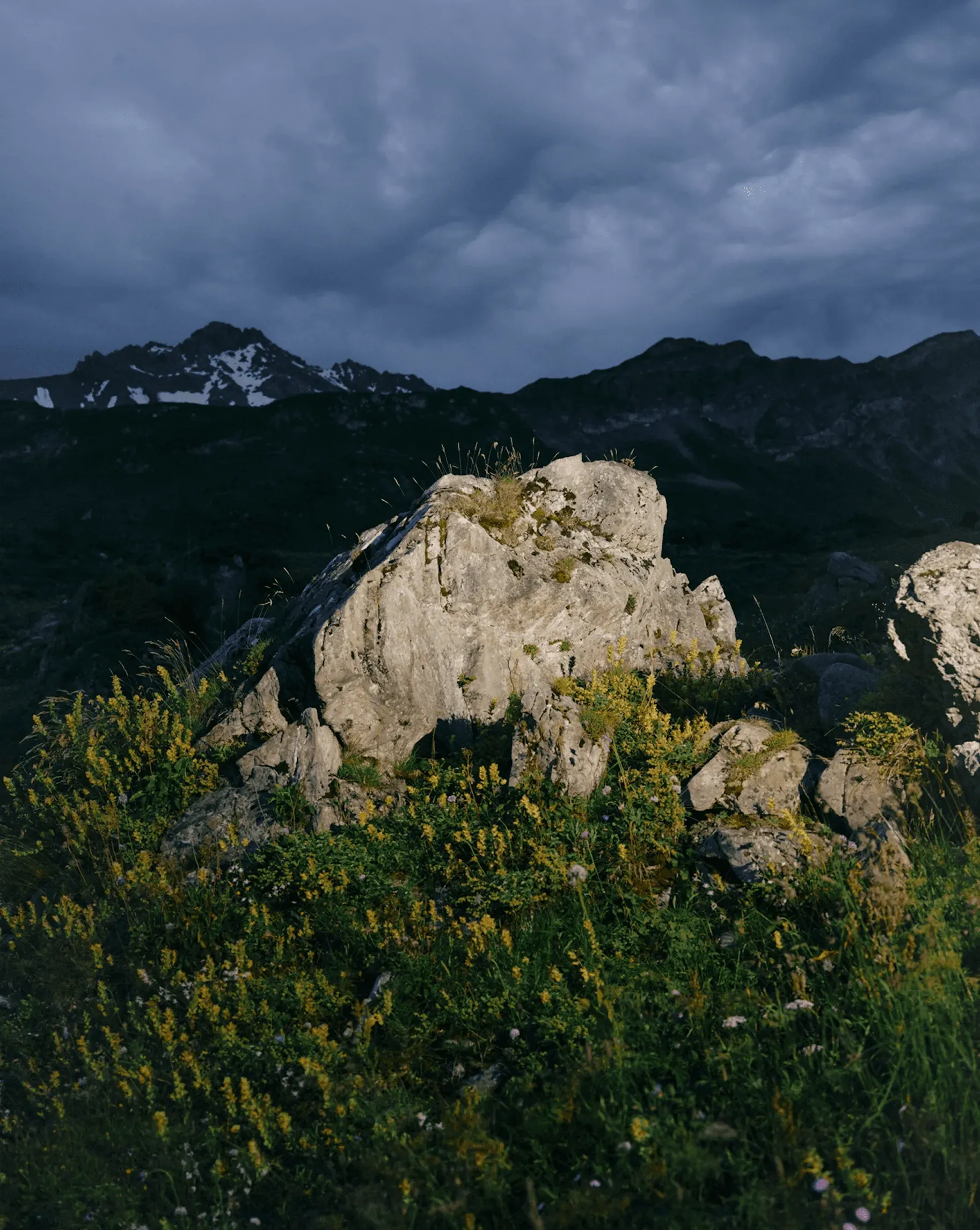 DTS HI-TREK_Fanette_Guilloud_Photos_ID11188 1
