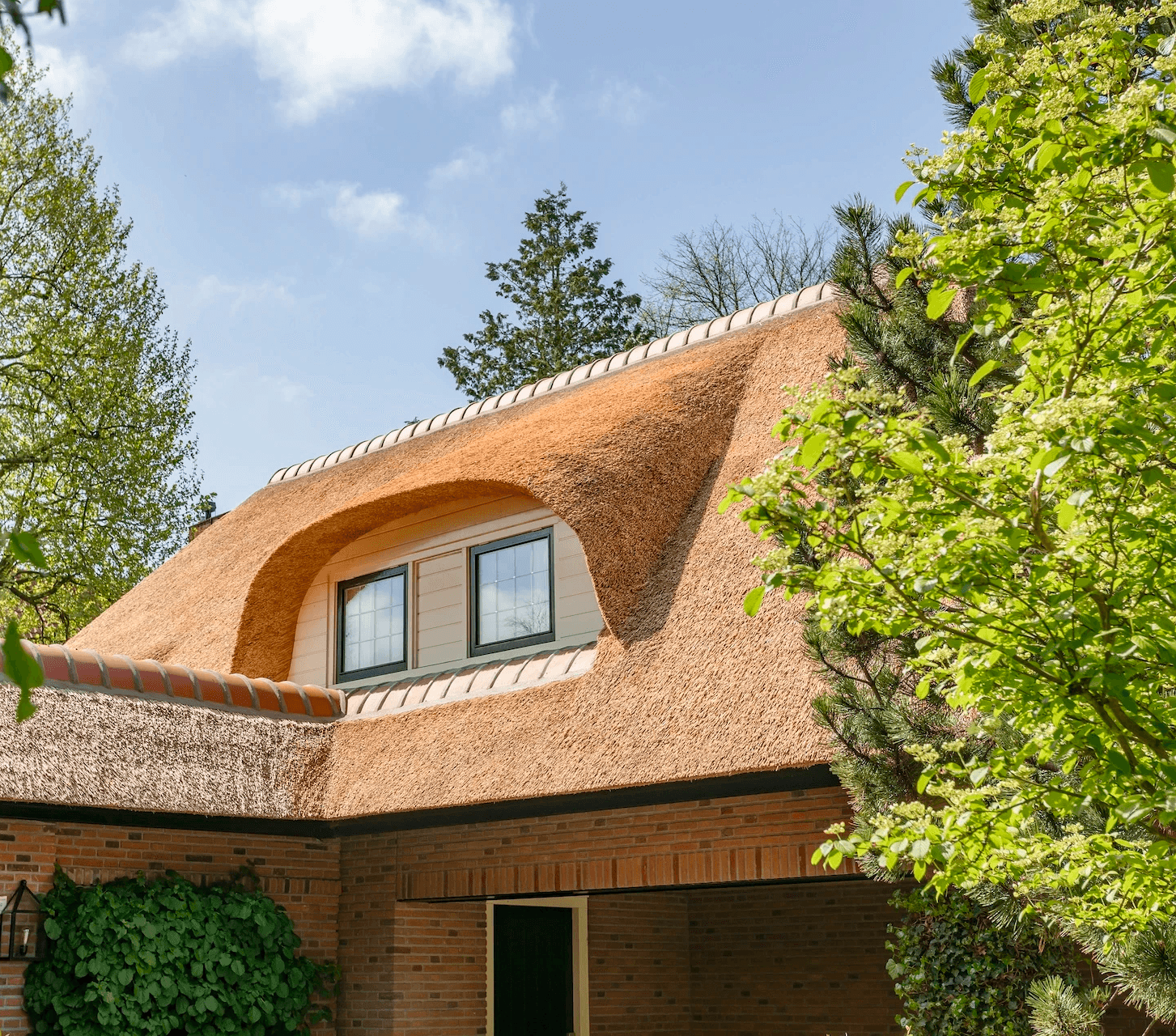 Rieten dak van Rietdekkersbedrijf van Dijk Putten