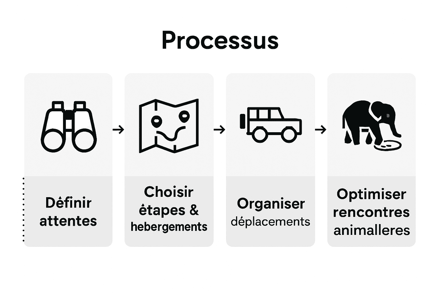 Les étapes clés pour organiser un safari de luxe à Etosha, présentées en infographie