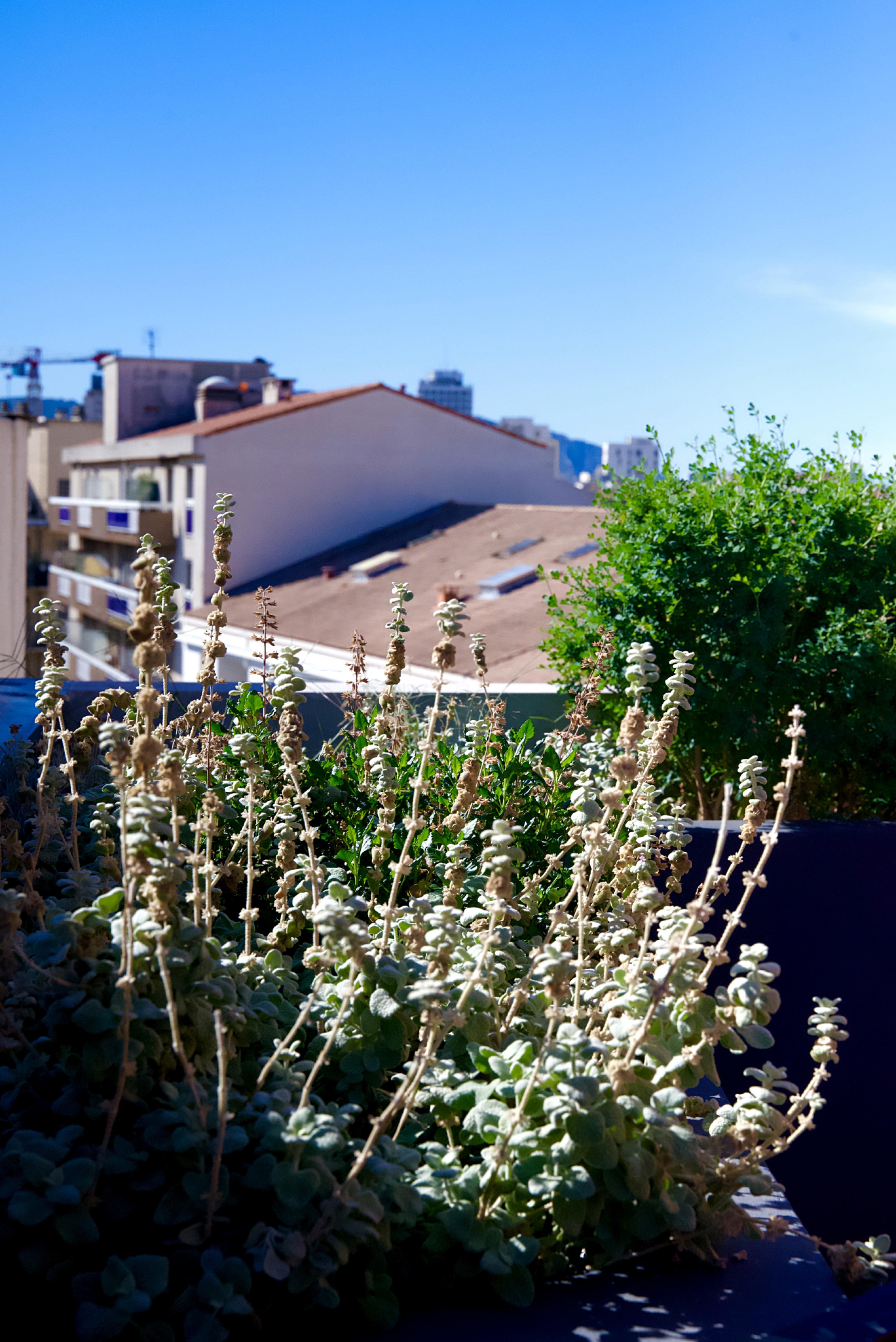 Modern multi-story building with a distinctive curved, diamond-patterned facade under a clear blue sky. Cars and pedestrians populate the busy urban street below.