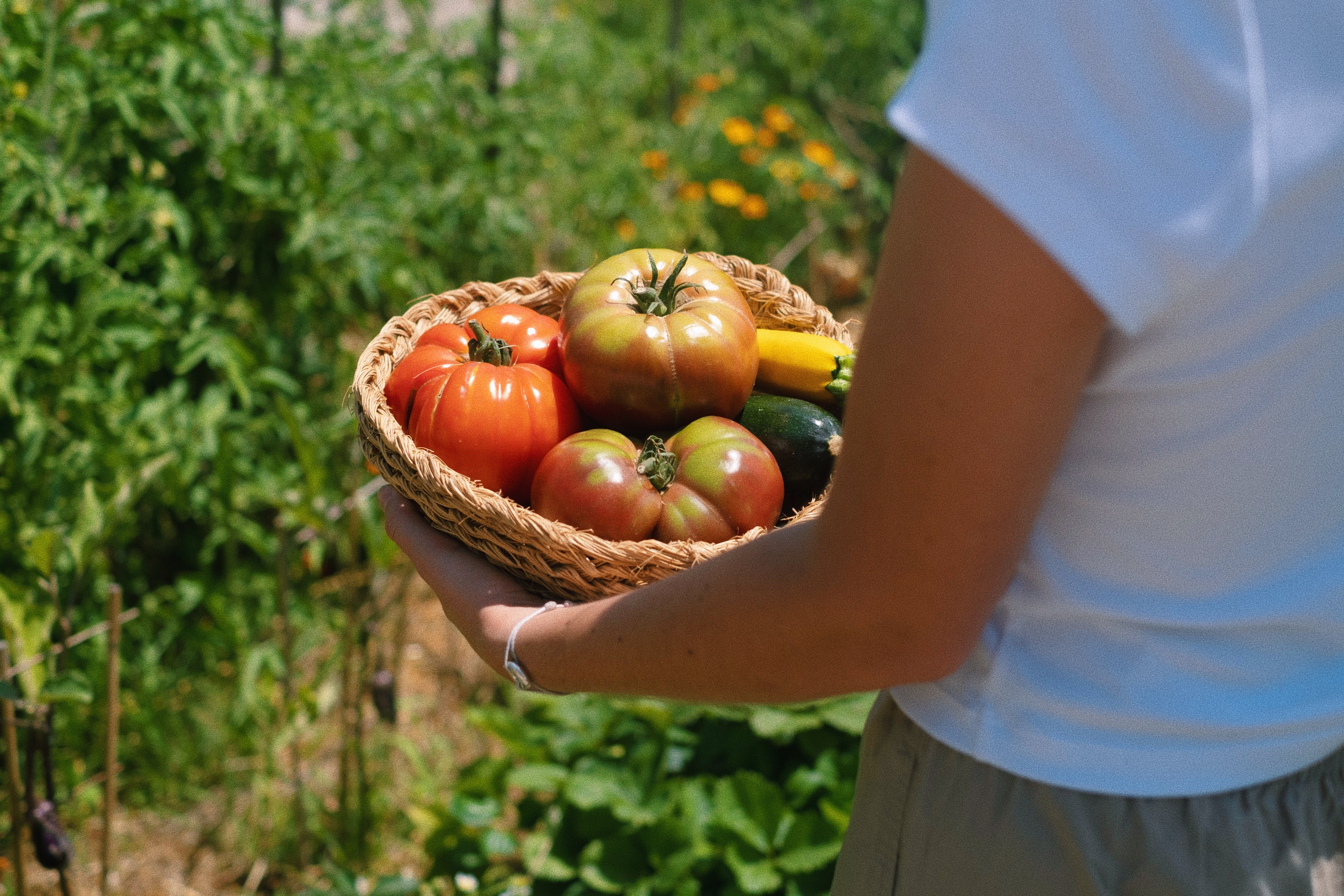 A vase with wheat inside