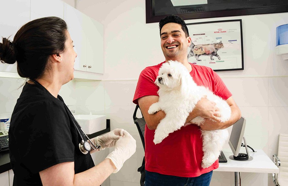 A pet owner is talking to a veterinarian about dog spaying and neutering.