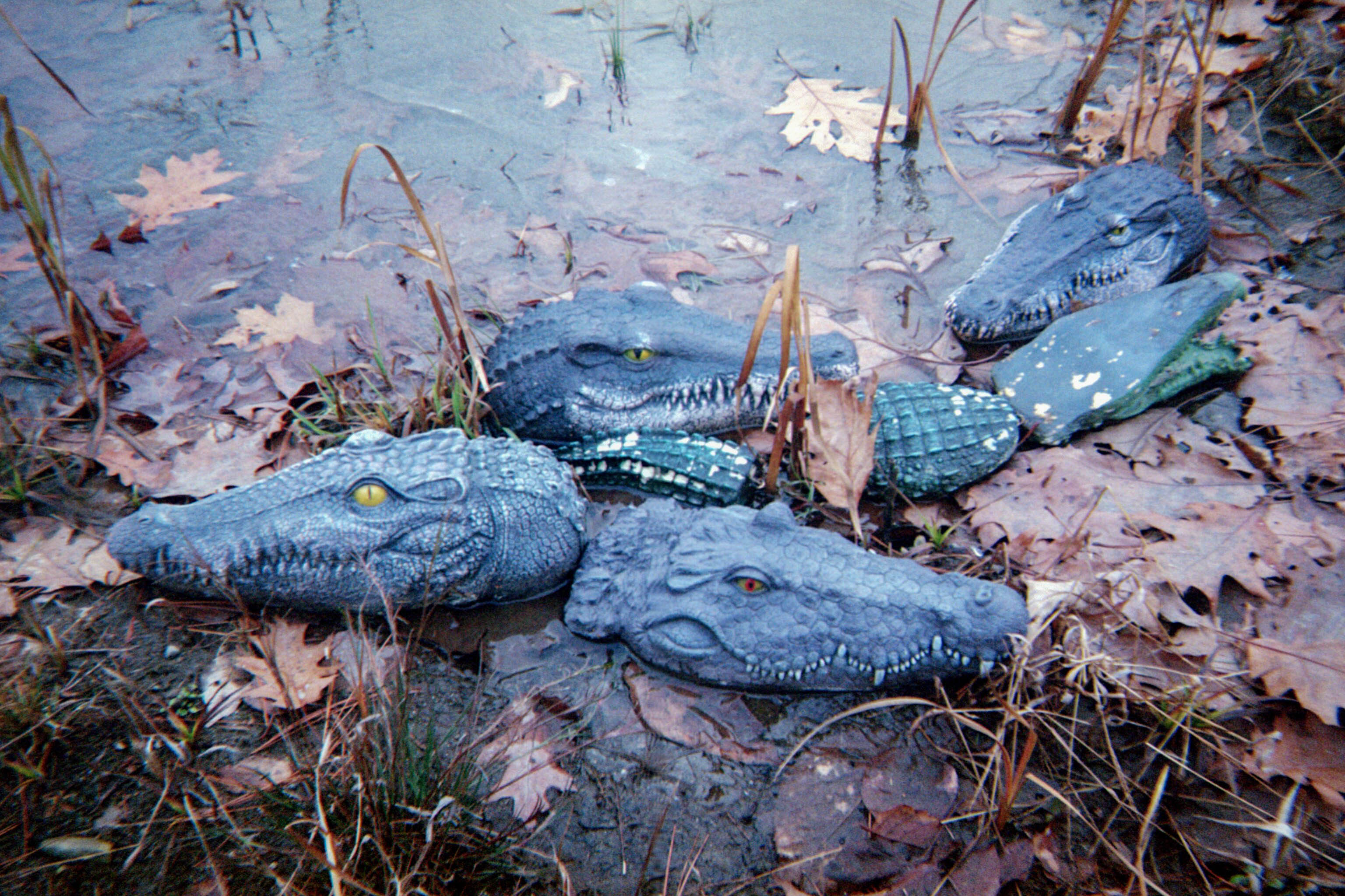 Photo by Tevin Trinh on Unsplash