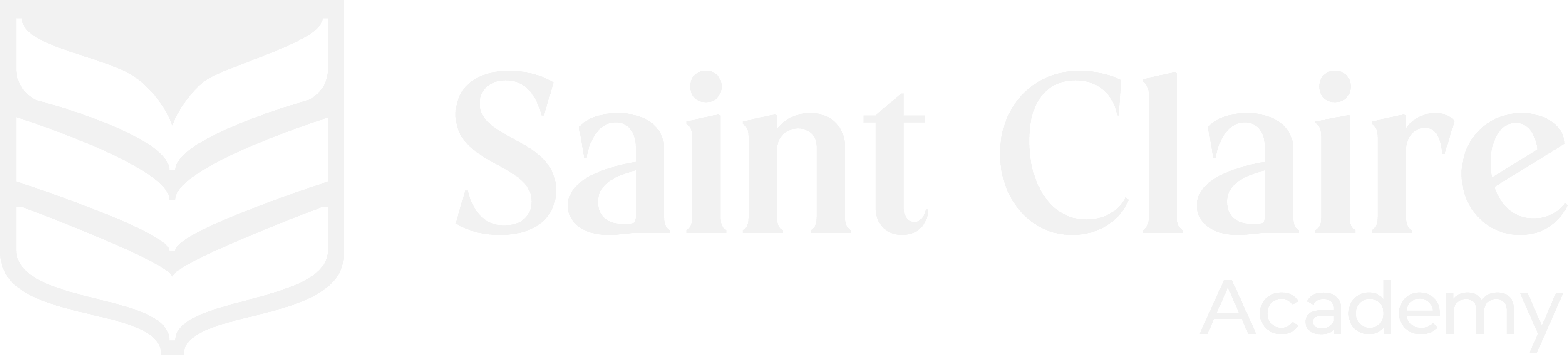 Footer Image 