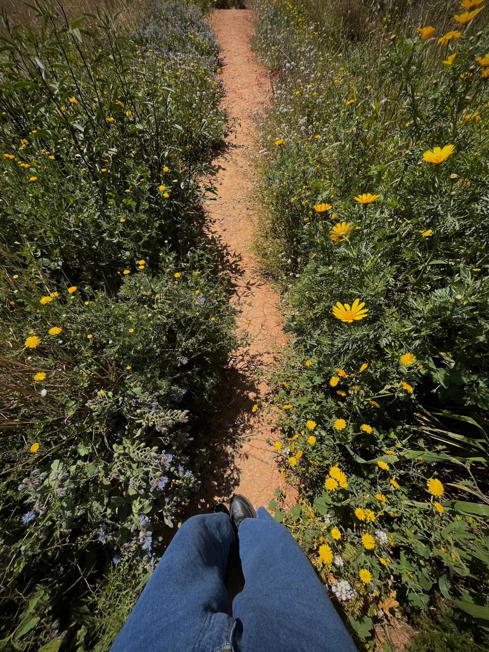 The image featured in the middle of the about us page