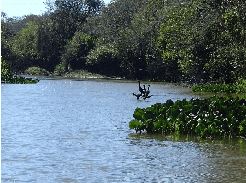 Rio Confuso au Paraguay – nature sauvage et beauté authentique du pays