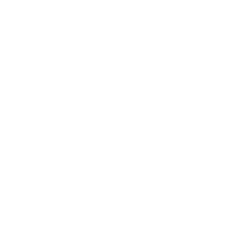 Image of a coach