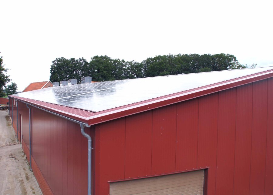 Solarpanele auf rotem Hallendach. Photovoltaik für nachhaltige Energie in Deutschland.