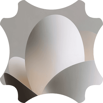 photography of a white egg