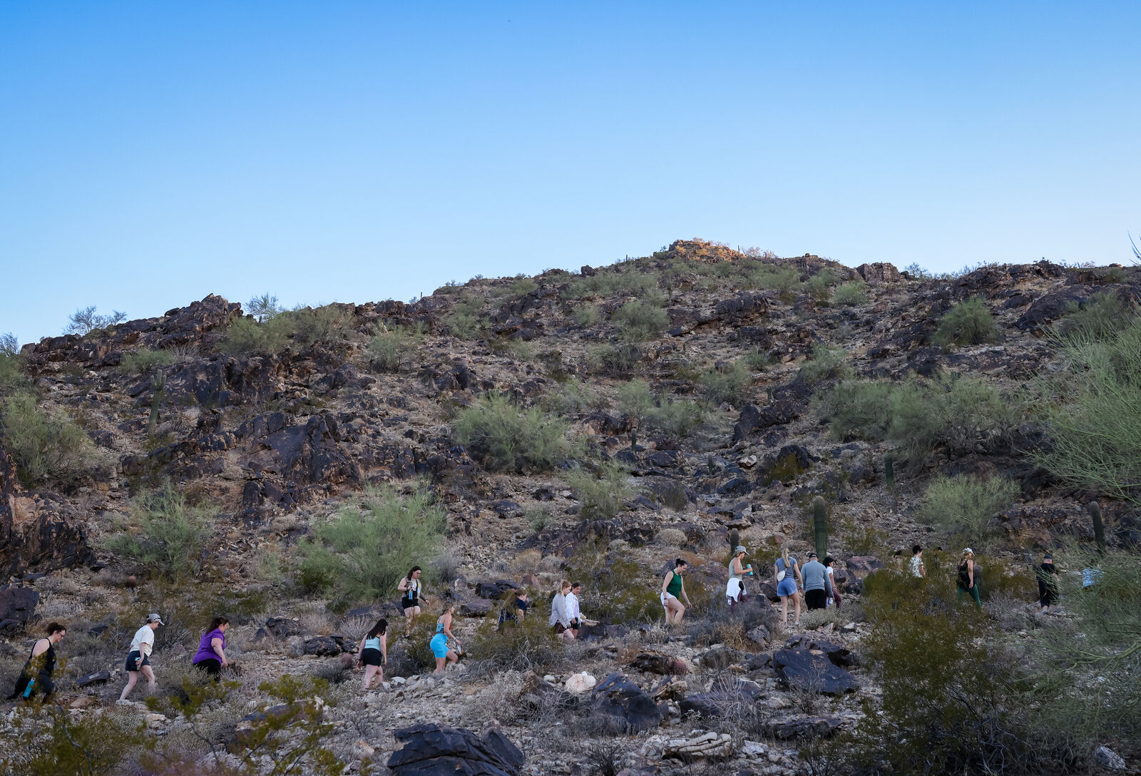 Desert Days, the morning hike up the desert ridge