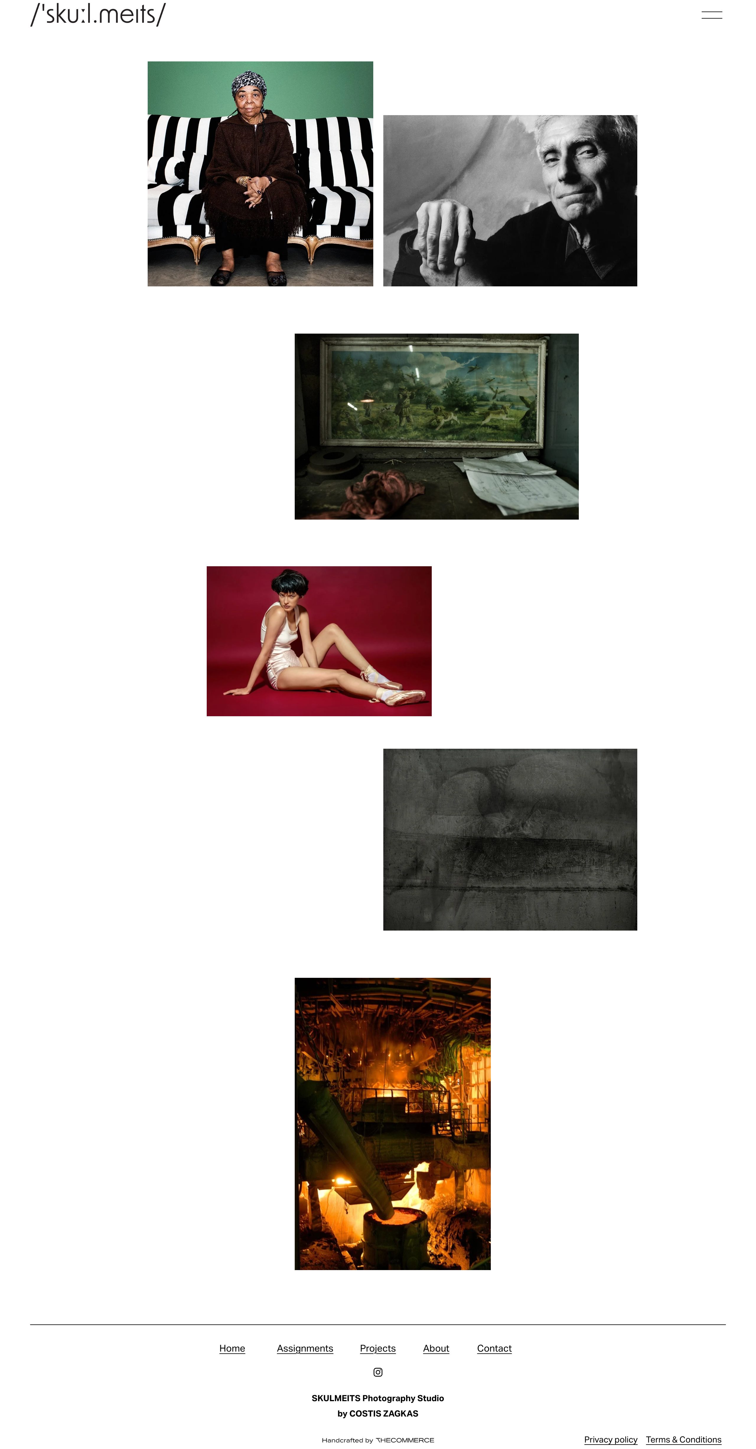 Skulmeits website on desktop