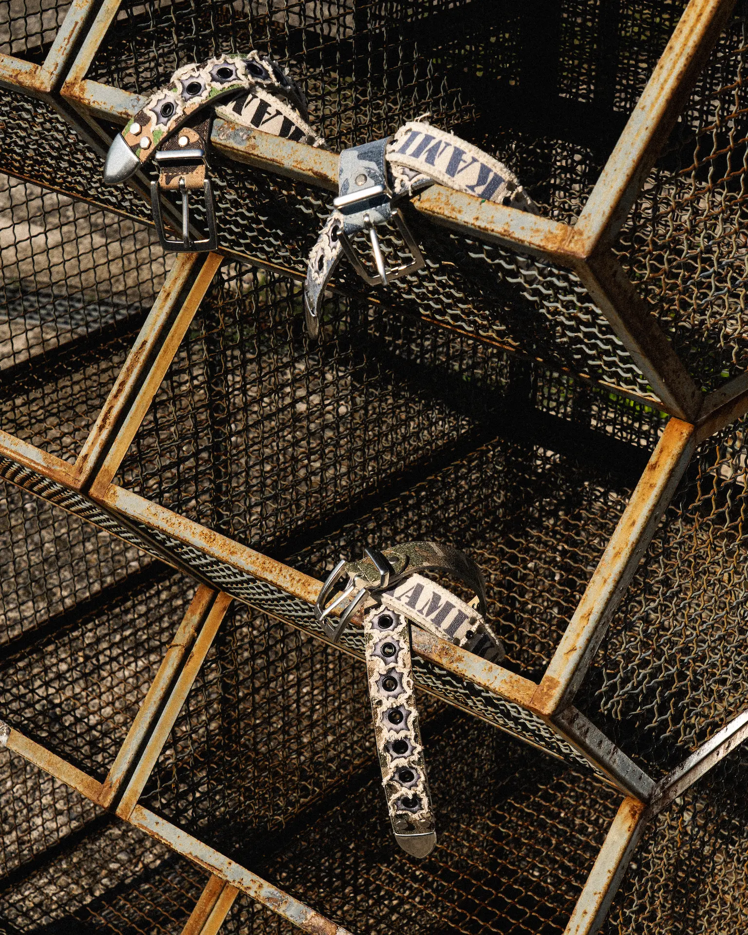 Amelia Reed is calling