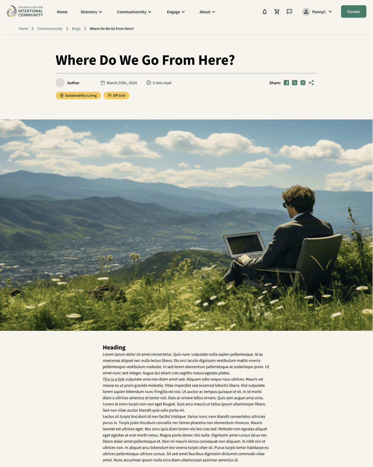 sketch of some lo-fi wireframes