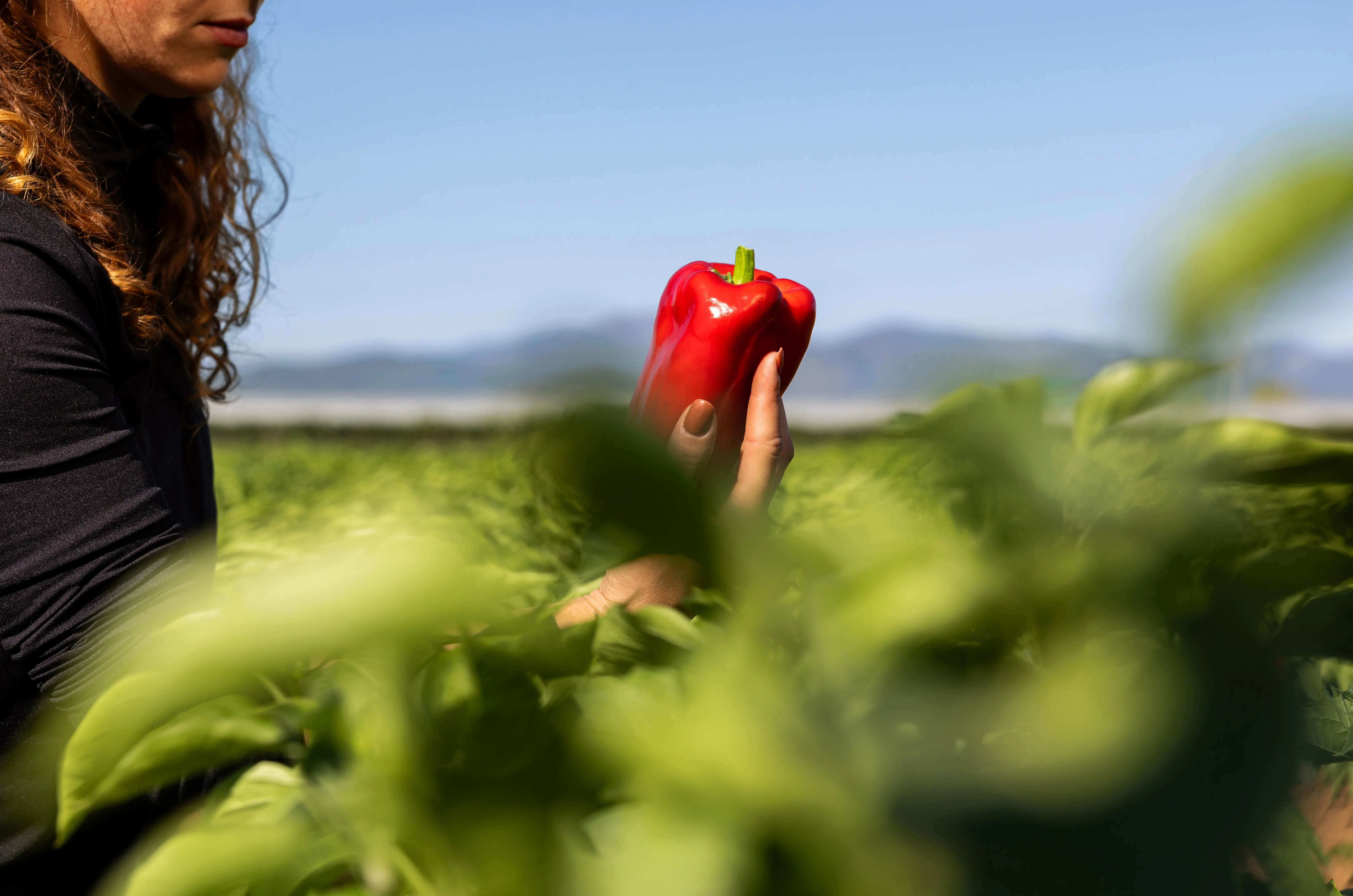 Mujer agricultora con pimiento rojo en El Bierzo, para productos La Bercianita