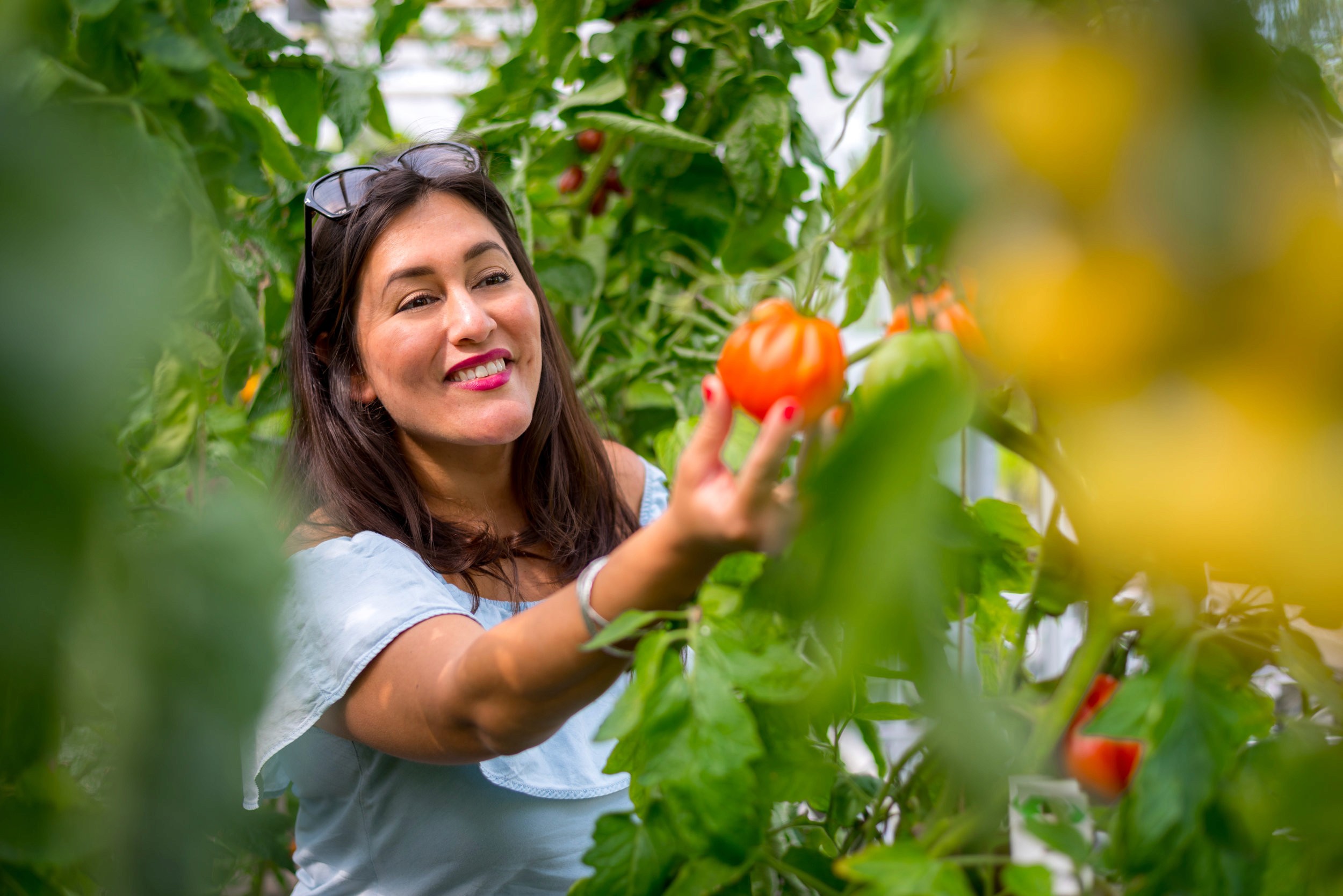 A woman with sunglasses on her head smiles while holding a ripe red tomato in a lush green garden.