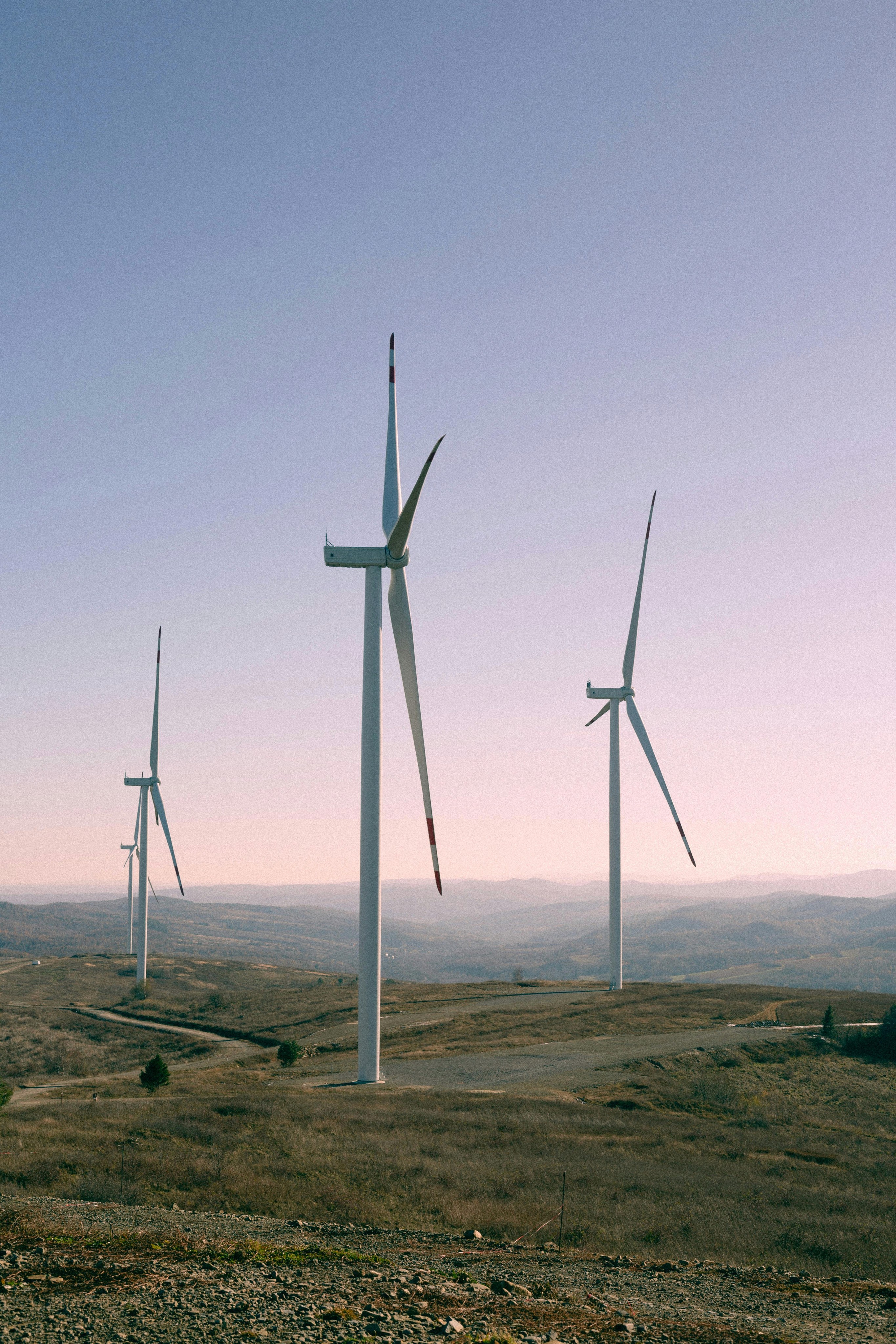 Wind Fans