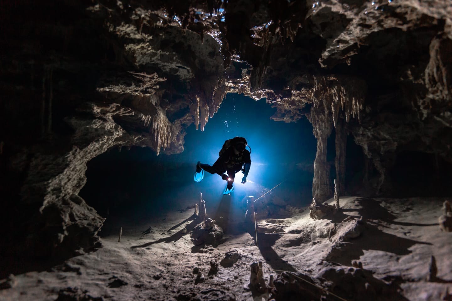 Dynamic picture of a cyclist riding downhill