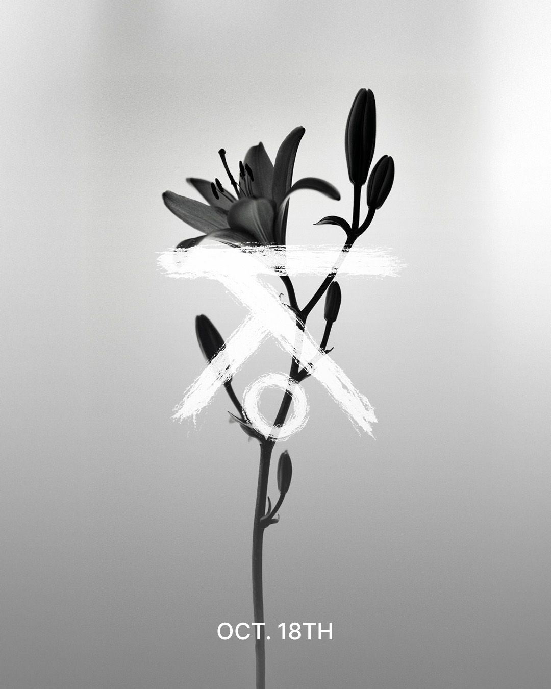 Evento passato, copertina