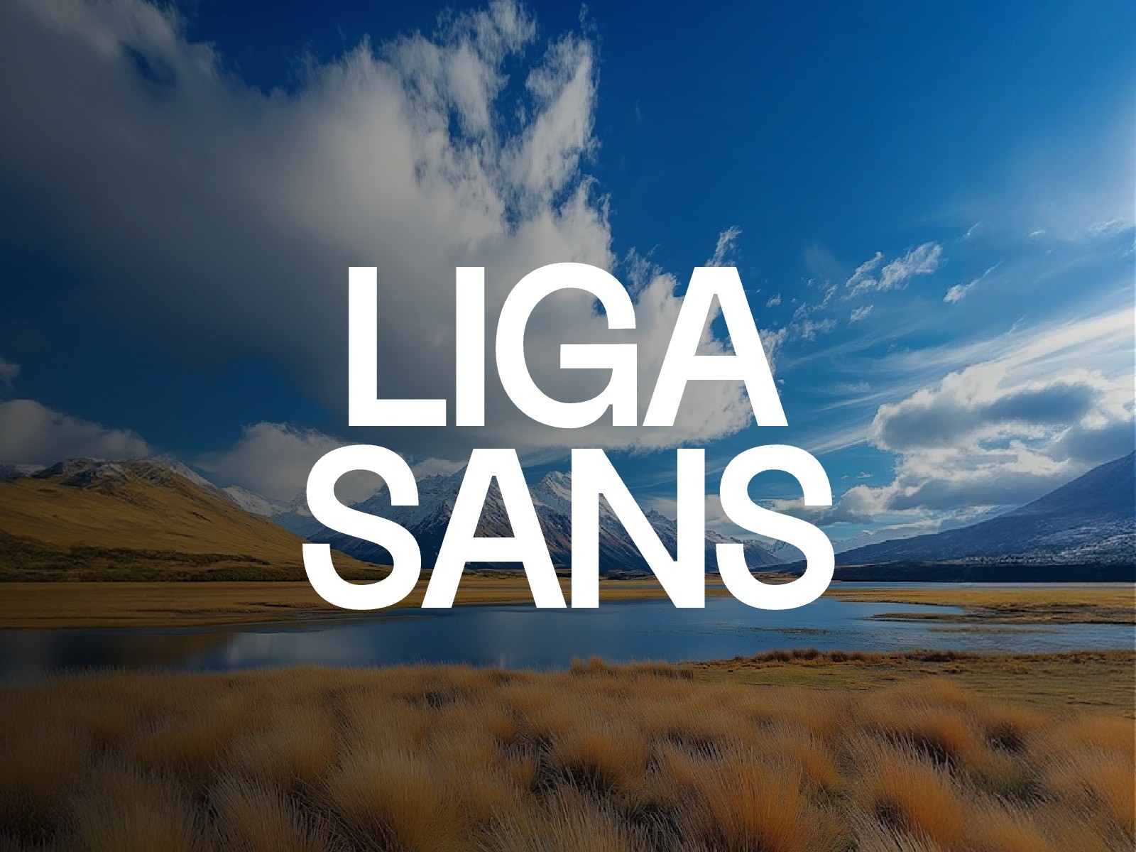 20+ Best New Fonts for Framer Templates & Modern Website Design