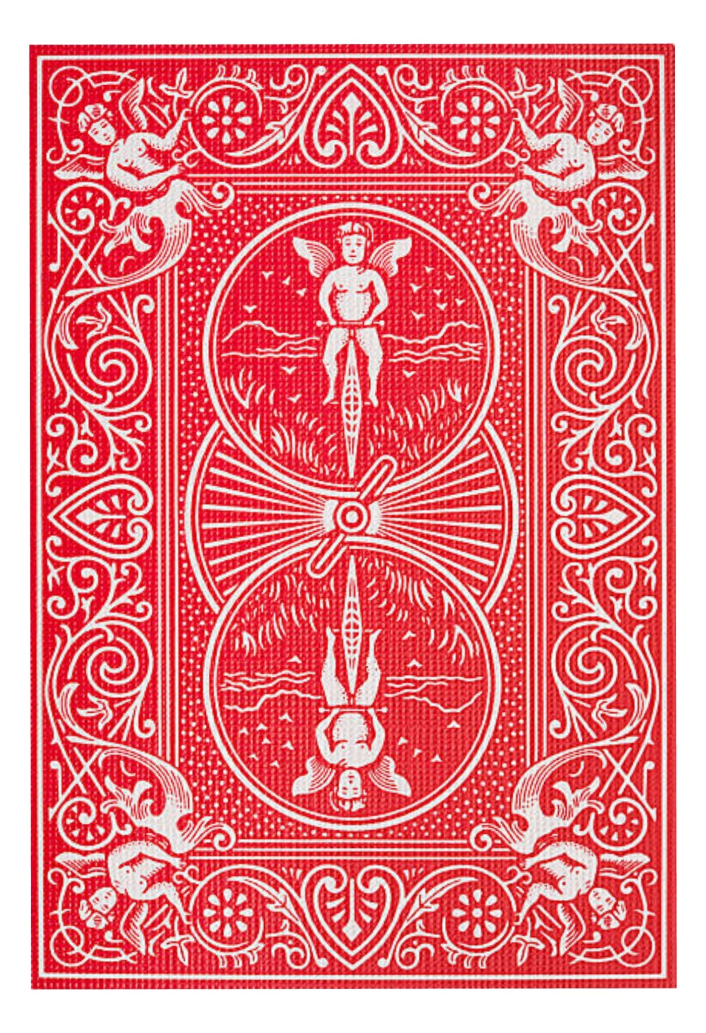 Portrait of portfolio creator – back view