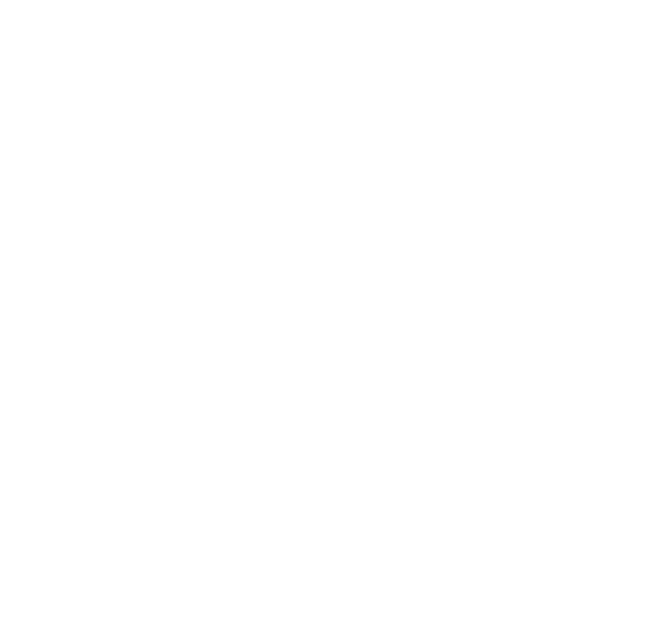 Network Solutions Icon