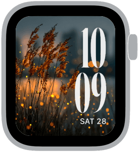 firefly fm Apple Watch face preview 2 featuring summer.