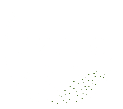 Logo des Projekt BEATLE Universität Hohenheim