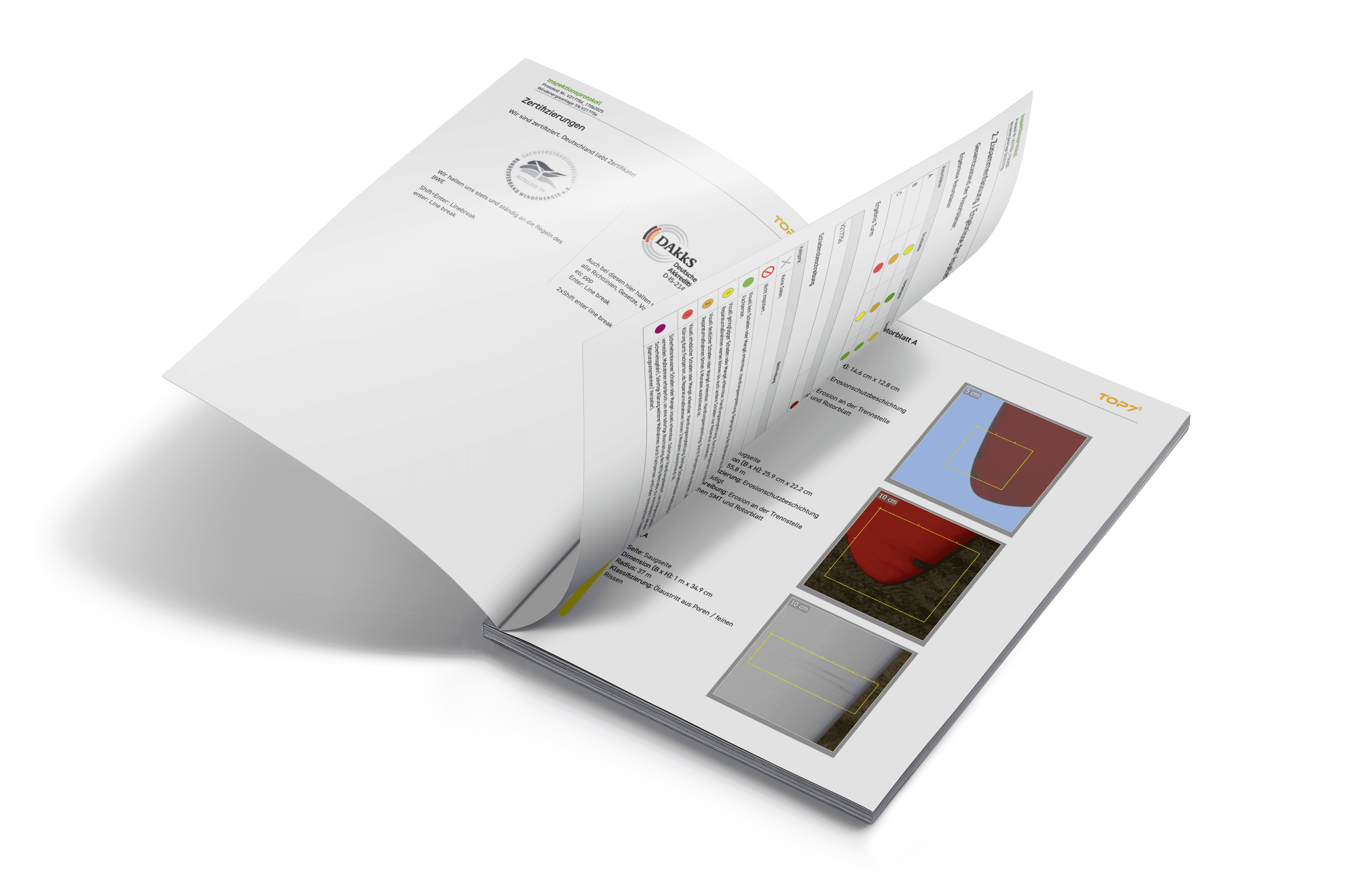 TOPseven Inspection Reports