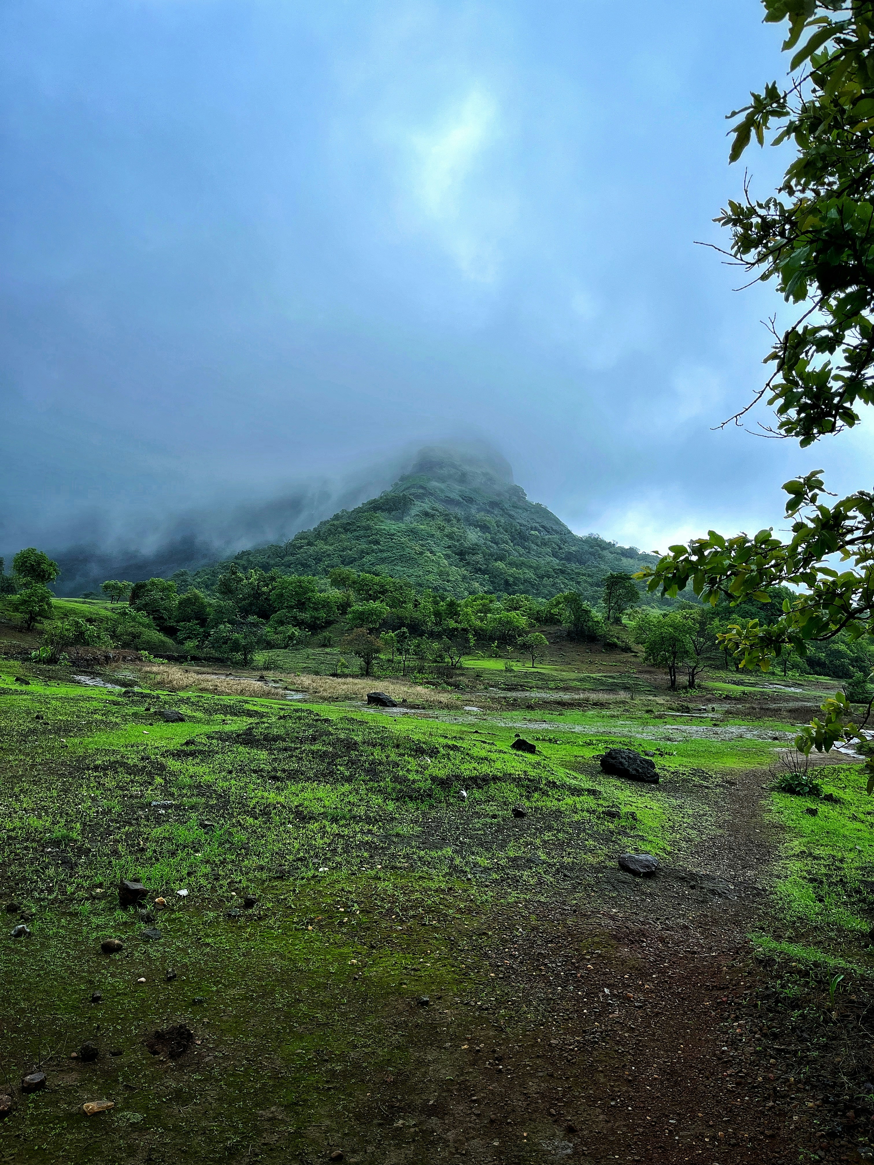 Local Treks